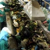 海防省固体废物处理厂的垃圾处理系统